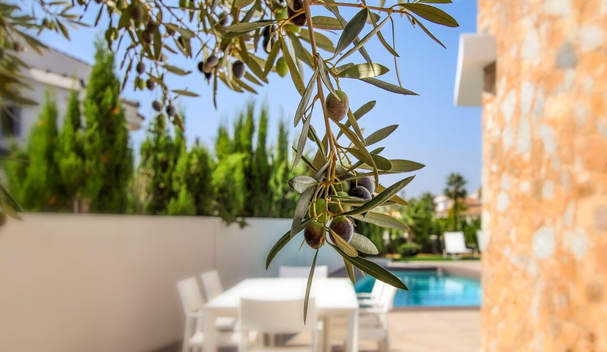 o_1gobt5d6a1e4215os1jjg1k0b1qus32-2