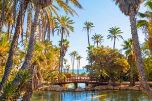 Parc,El,Palmeral,,Alicante,,Spain