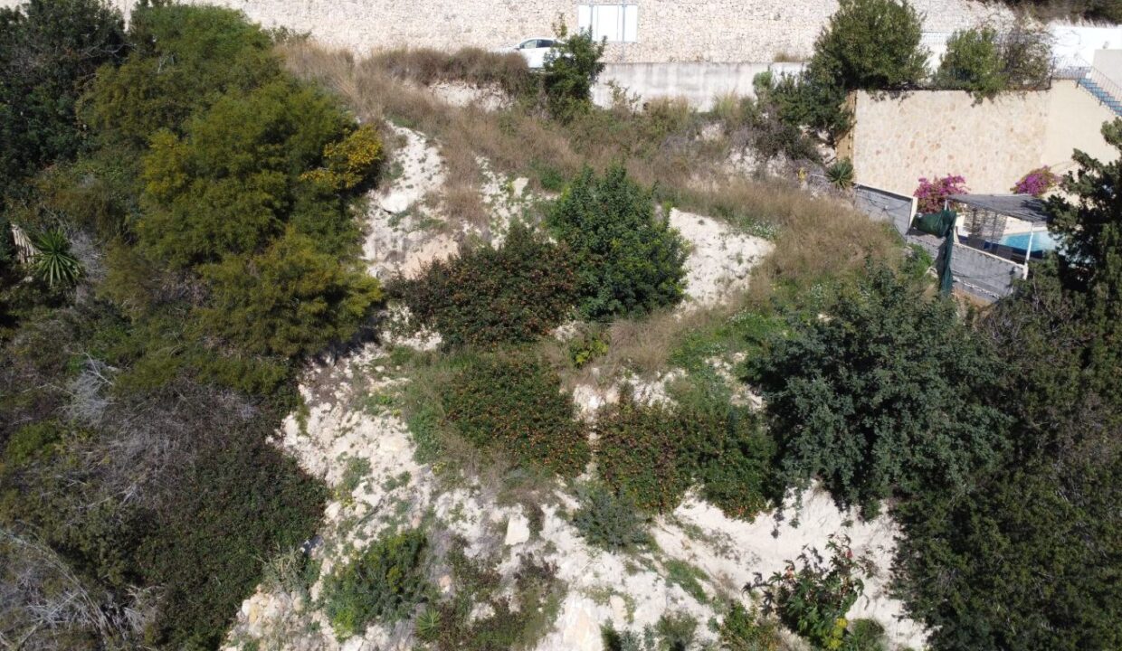 PHOTO-2025-02-27-12-27-492