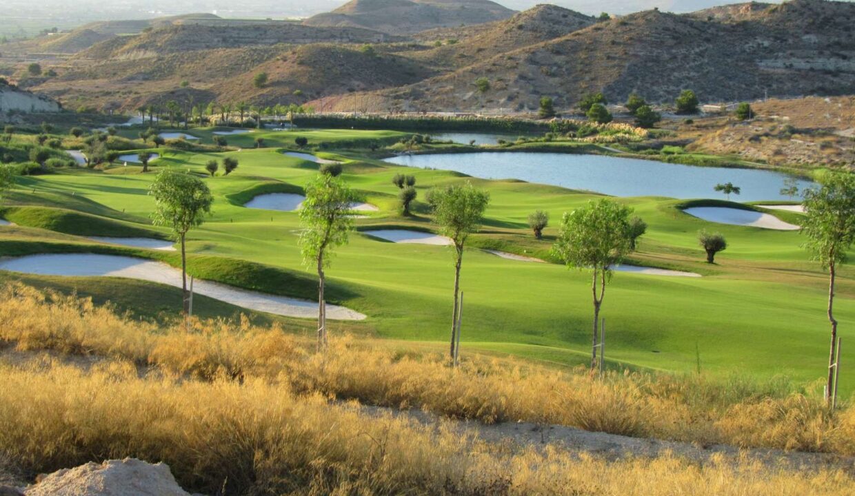 d68f5fd98dd42868f5fd98dd482