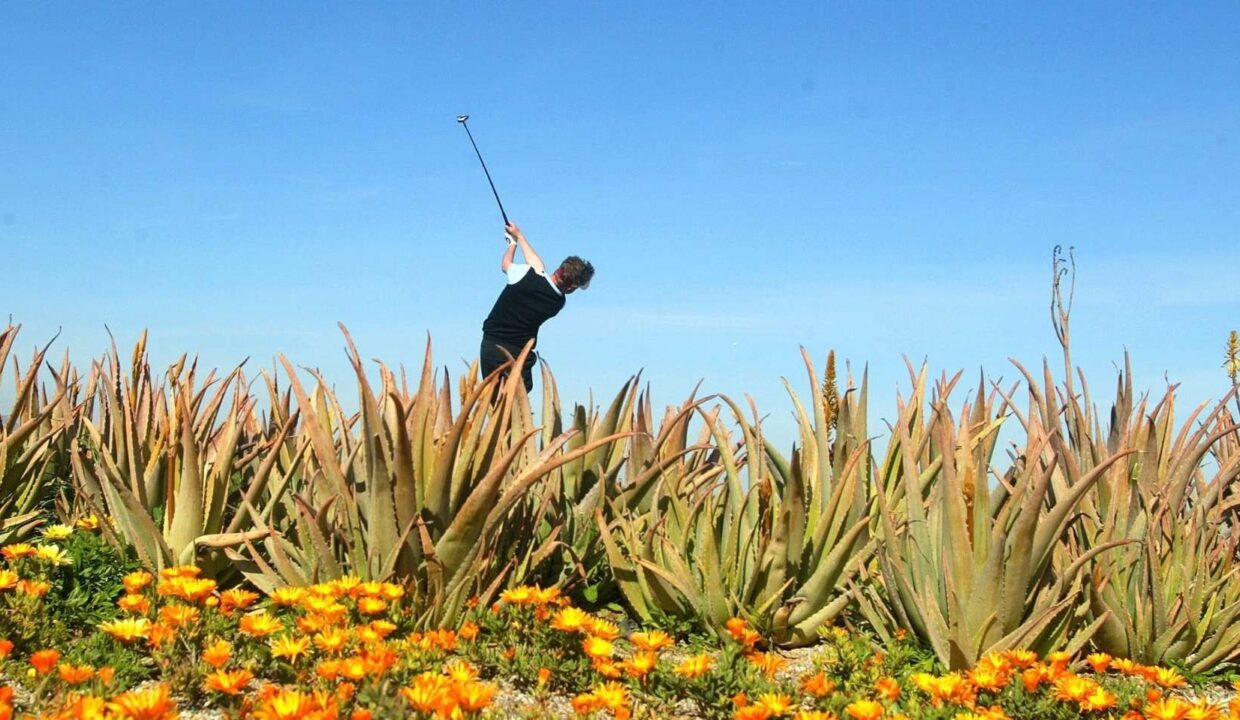 o_1j74dp27hbn91l8nc58t3b155l1l