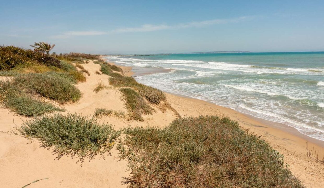 o_1j7gqg6aokv81fam1c2p17ajn6m1k