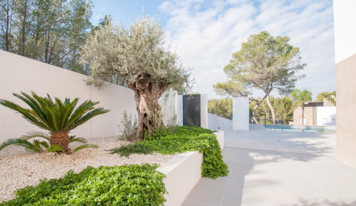 11509DANieuwefotos233of34