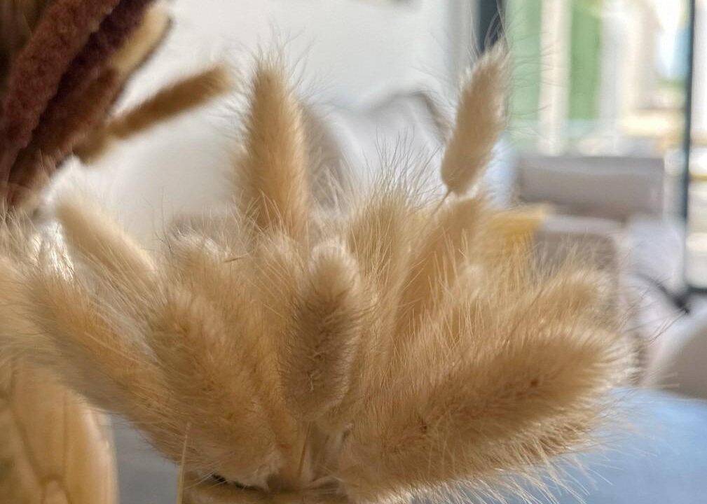5-4-1